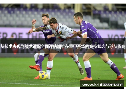 从技术表现到战术适配全面评估加维在意甲赛场的竞技状态与球队影响